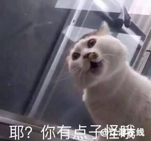 f10e95ad7b87cbec92c8ef81d39ecd59.jpg