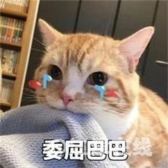 65b3b521a651fdd9b818d5c33c55b1e3.jpg