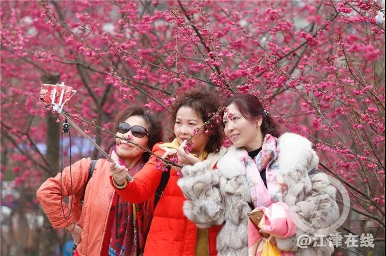 微信图片_20210203074919.jpg