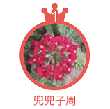 微信截图_20210215132745.png