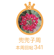 13.png