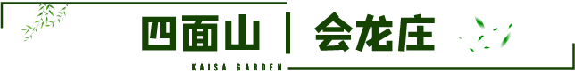 7.png