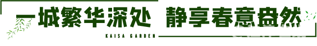 24.png