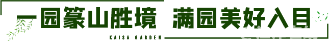 26.png