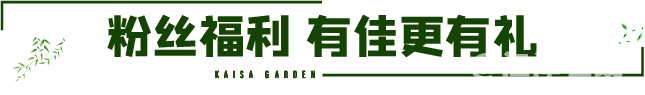 30.png