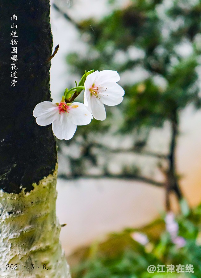 植物园 (14).jpg
