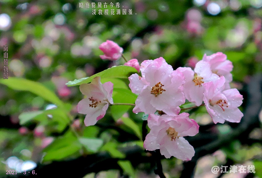 植物园 (16).jpg