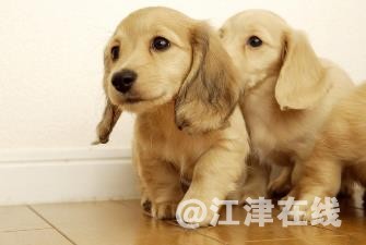 360截图20210312105702562.jpg