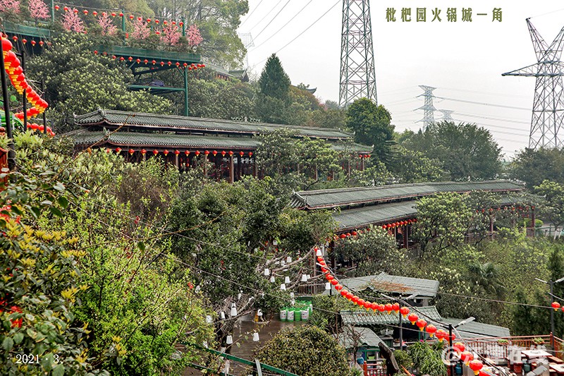 南山一日 (5).jpg