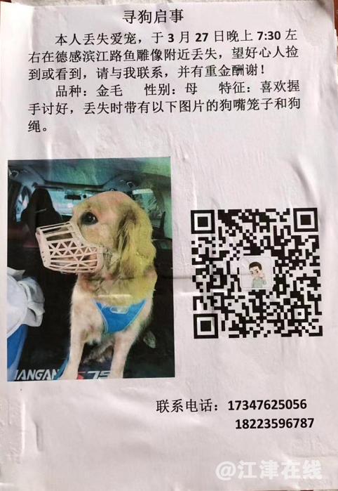微信截图_20210331170522.png