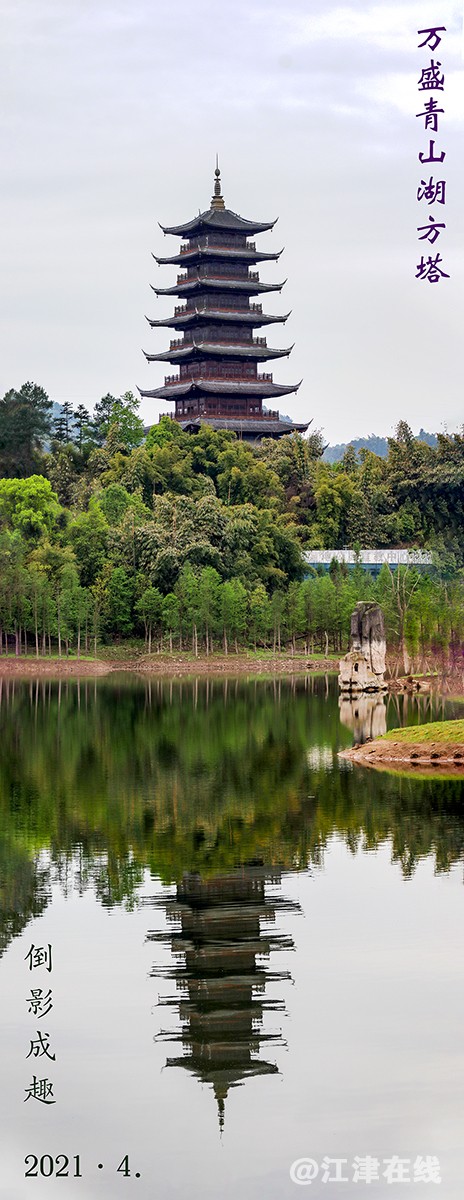 春天里 (3).jpg