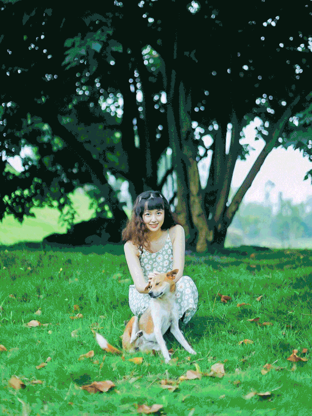4.gif