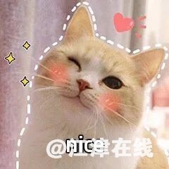 e1d6bdd54d803b22458df9fe863dd8d7.jpg
