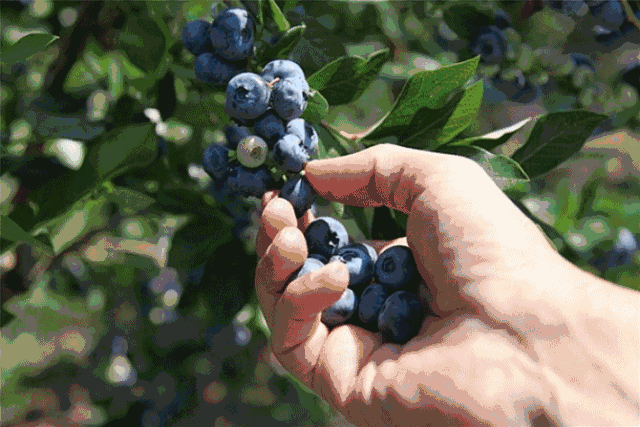 4f33e5f1c22fbcf5ed62c0b86506b513.gif