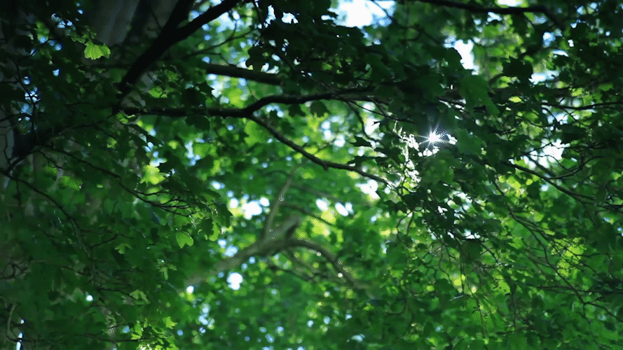 e87df5b67bb24c8ddfe3754ed3b51c4b.gif
