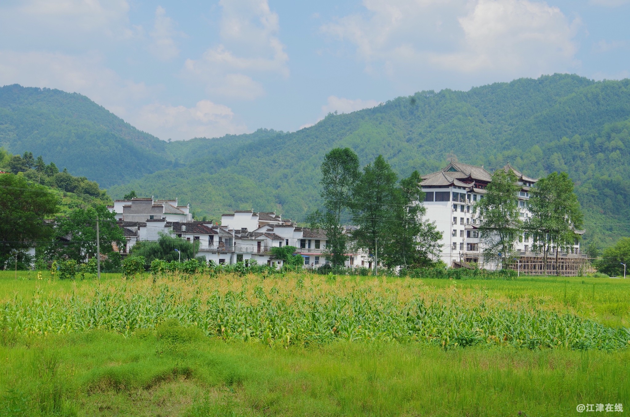 src=http___www.wuyuan999.com_uploads_allimg_170708_1U1159610_0.jpeg_imageView2_2.jpg