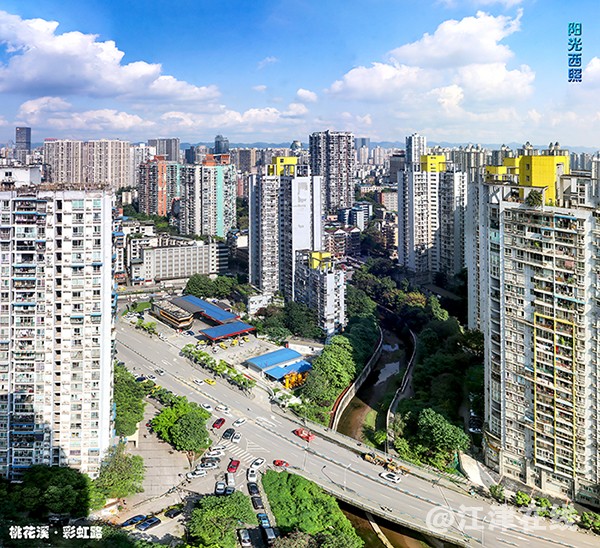彩虹路旁 (1).jpg