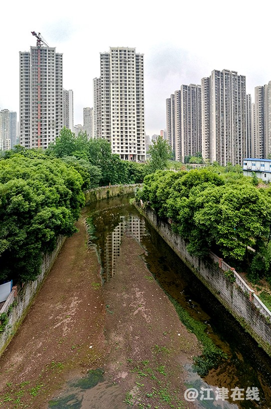 彩虹路旁 (3).jpg