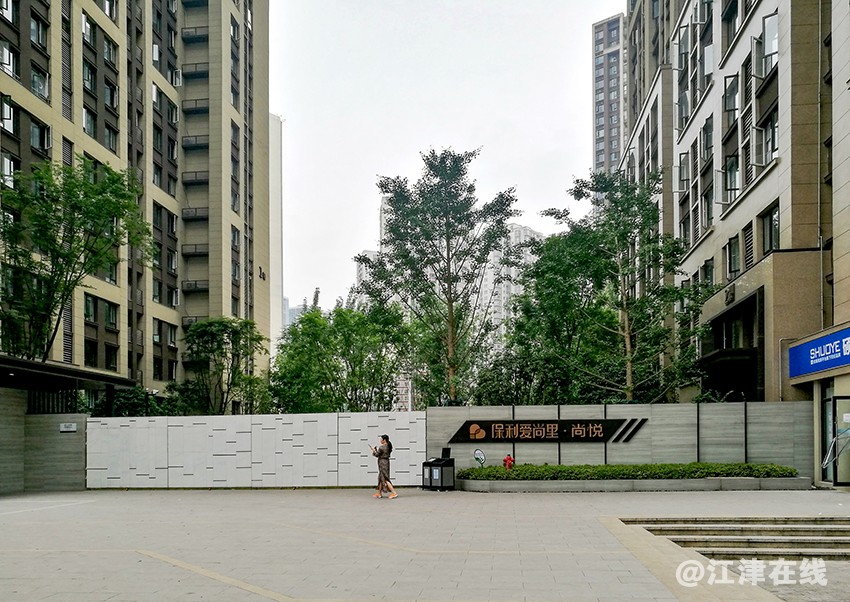 彩虹路旁 (5).jpg