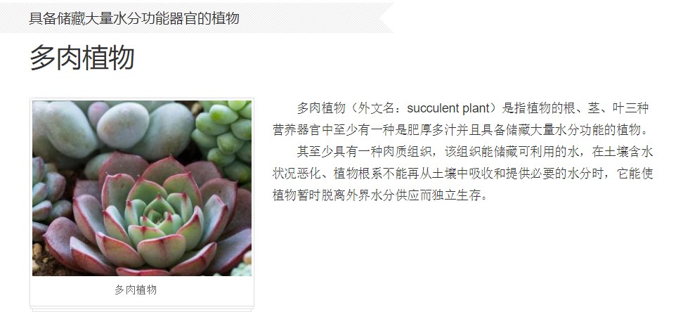 多肉植物.jpg