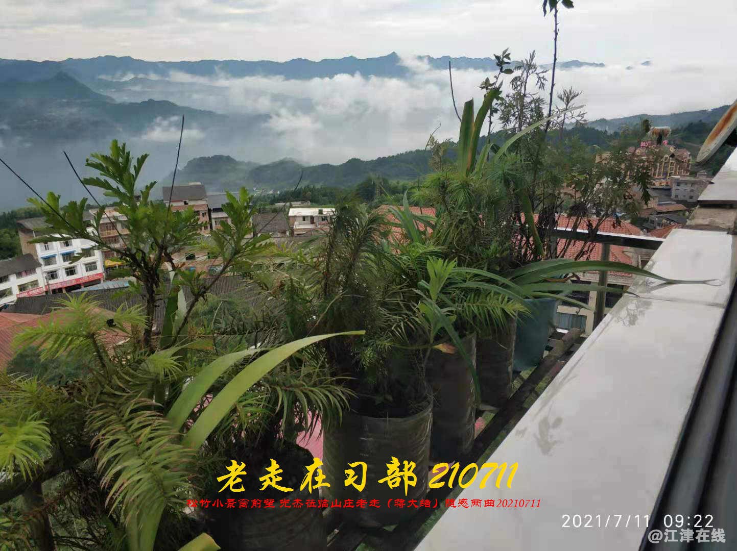JYZ 20210711 WBQ (129).jpg