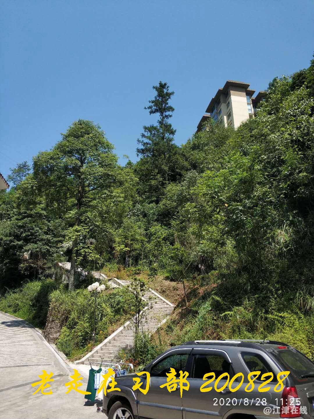 JYZ 20200828 WYB (106).jpg