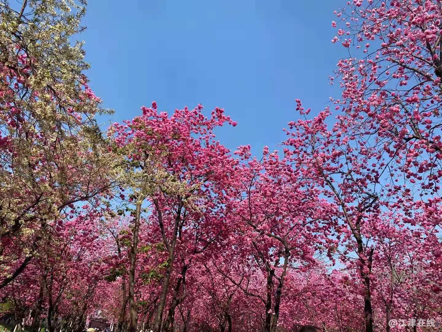 微信图片_20210316101242.jpg