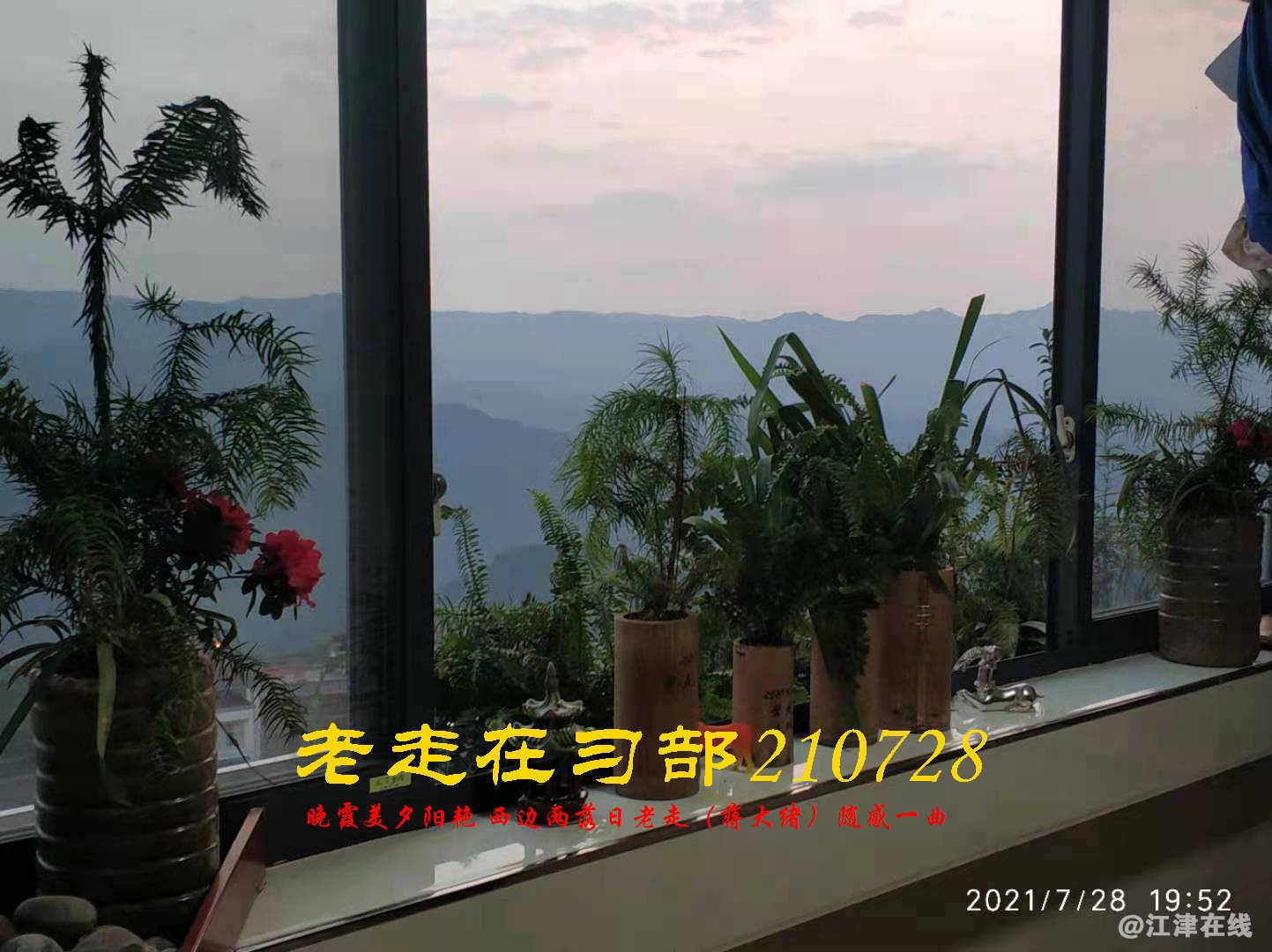 JYZ 20210728 WBQ (16).jpg