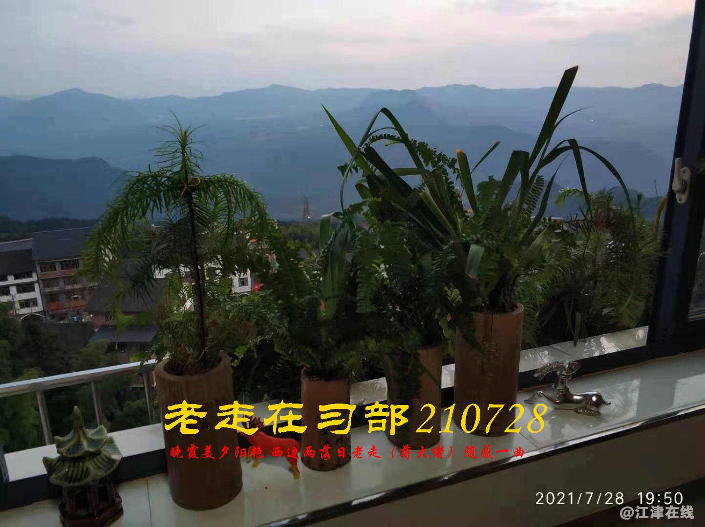 JYZ 20210728 WBQ (21).jpg