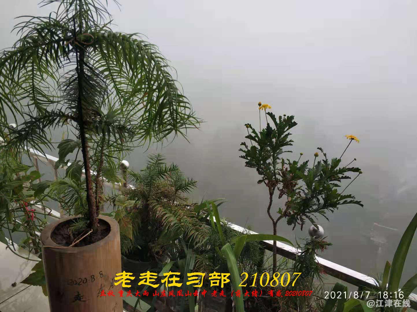 JYZ 20210807 WBQ  (1).jpg