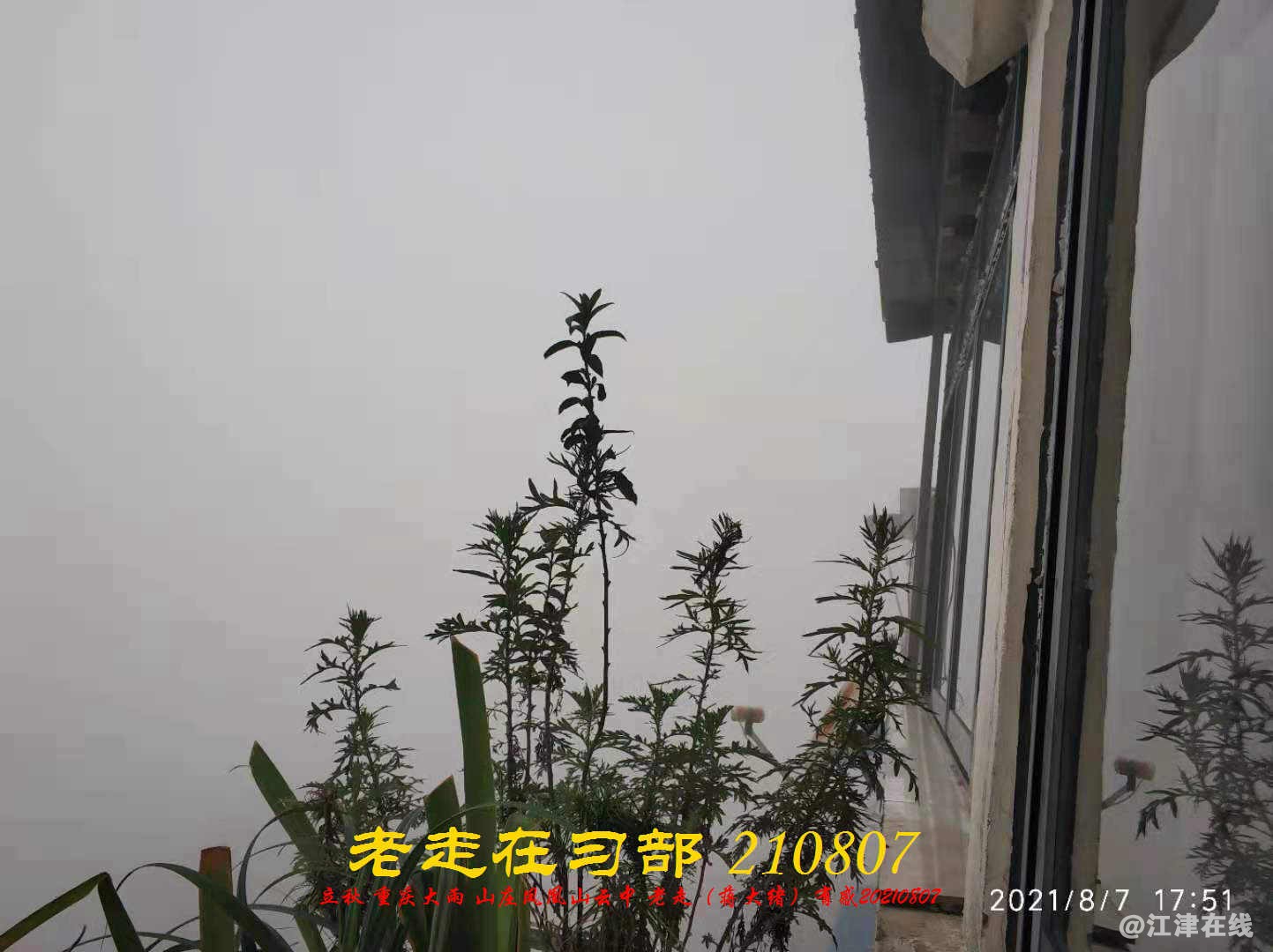 JYZ 20210807 WBQ  (13).jpg