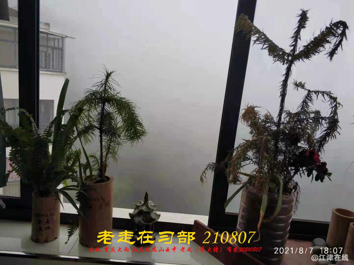 JYZ 20210807 WBQ  (23).jpg