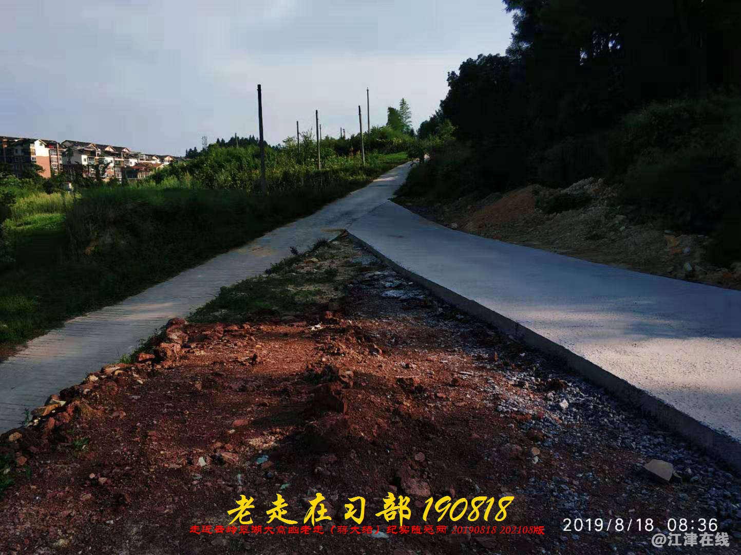 JYZ 20190818 WB(66).jpg