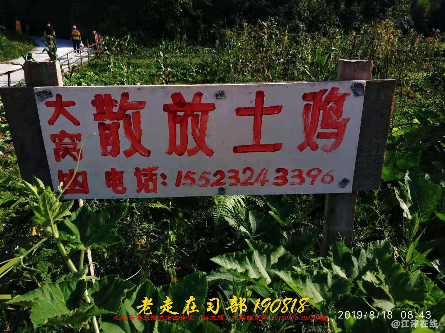 JYZ 20190818 WB(70).jpg