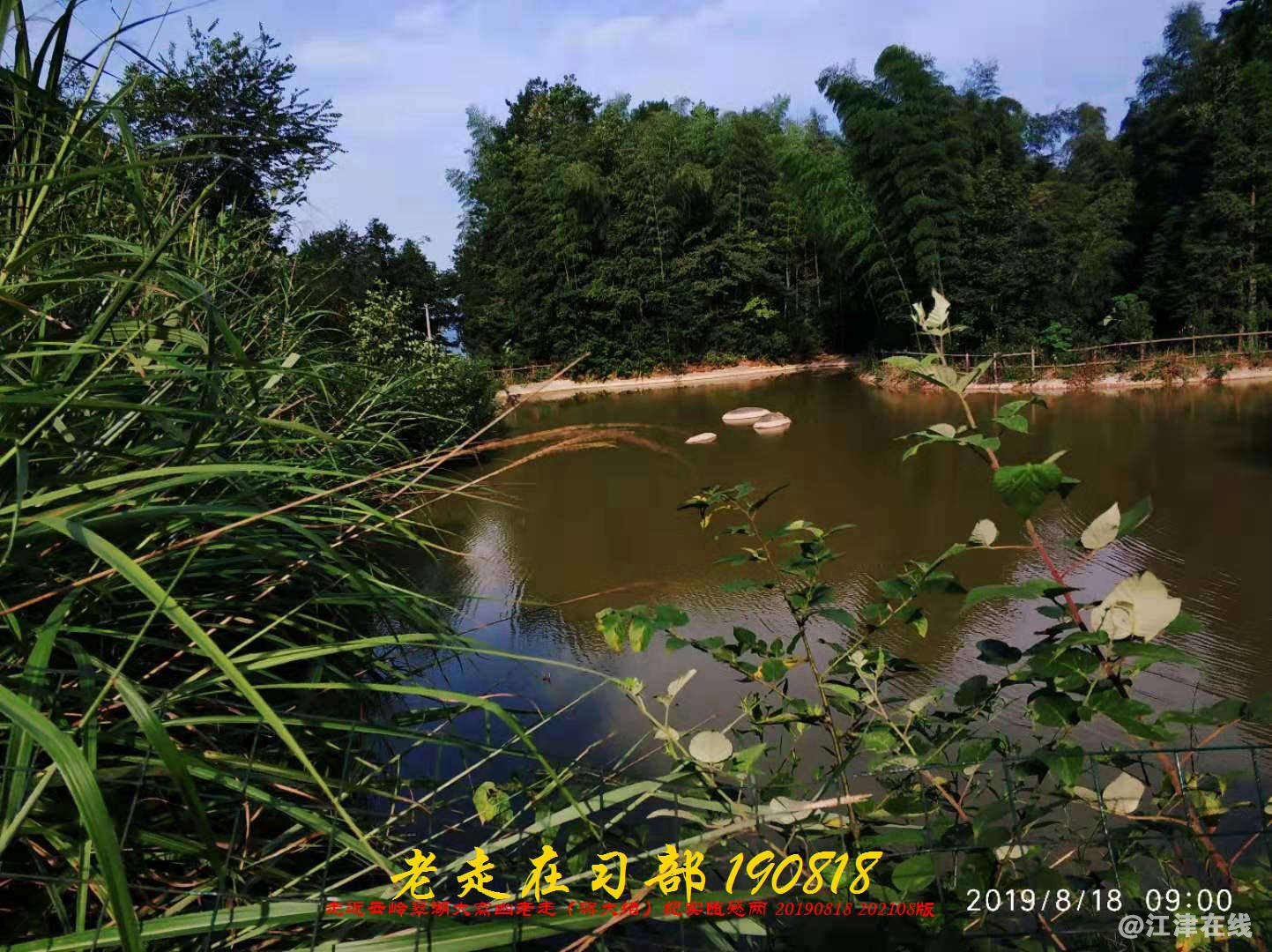 JYZ 20190818 WB(82).jpg