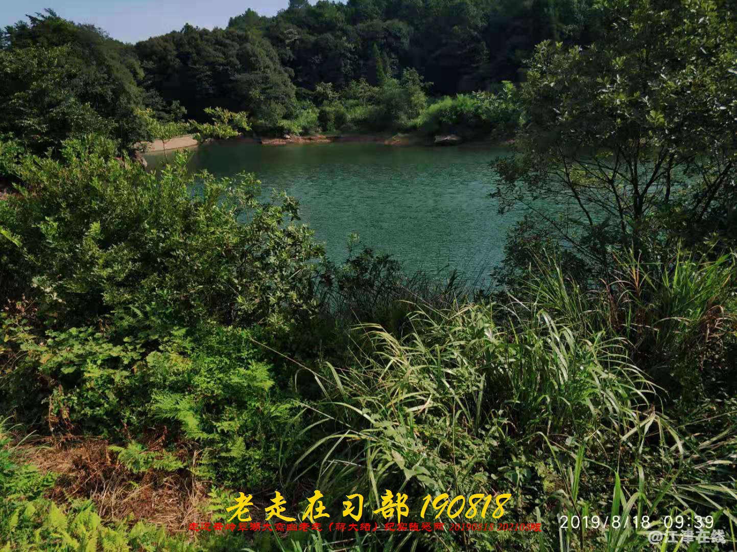 JYZ 20190818 WB(130).jpg