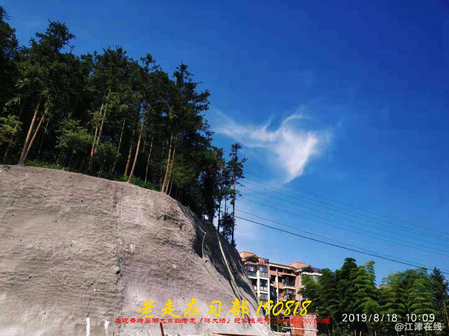 JYZ 20190818 WB(160).jpg