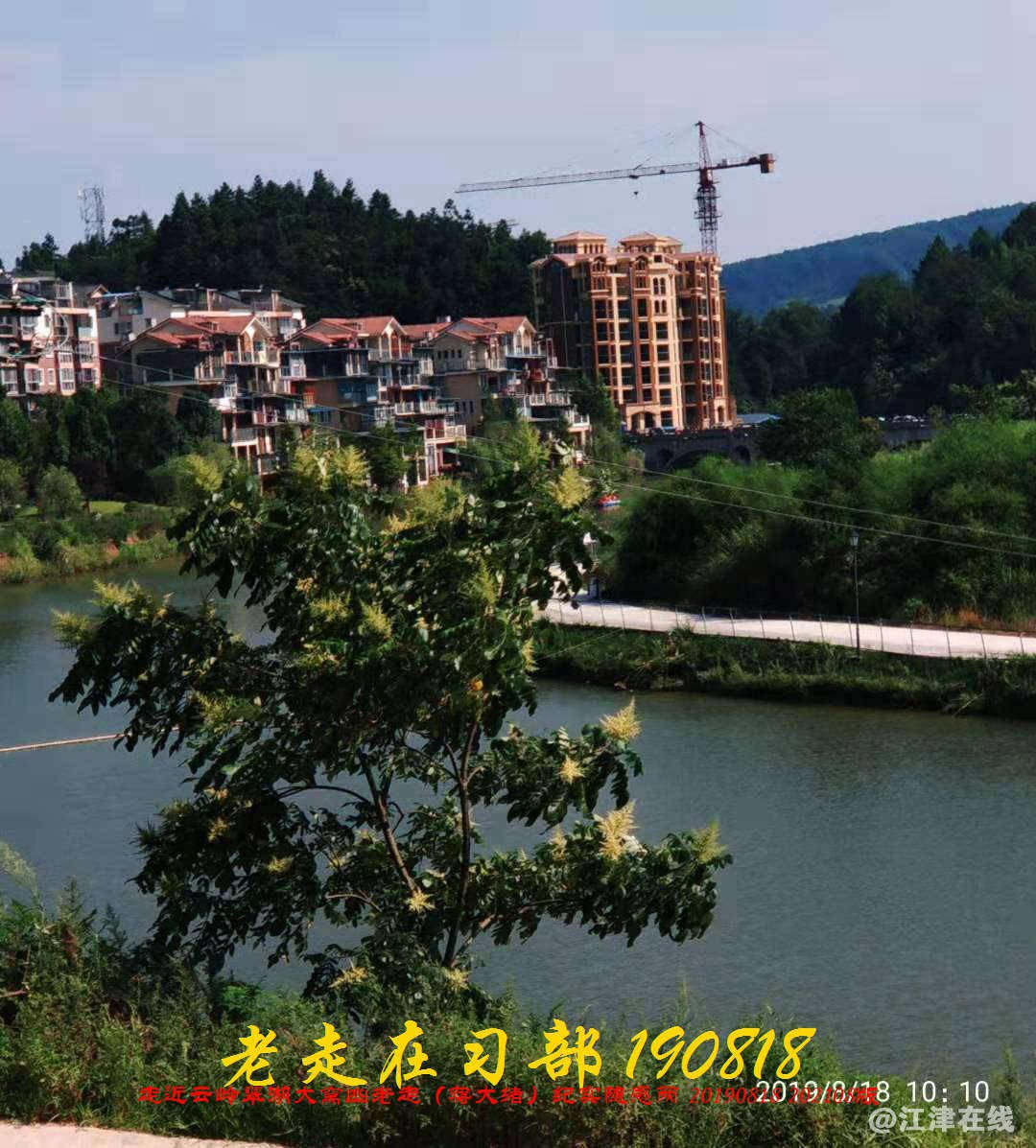 JYZ 20190818 WB(168).jpg