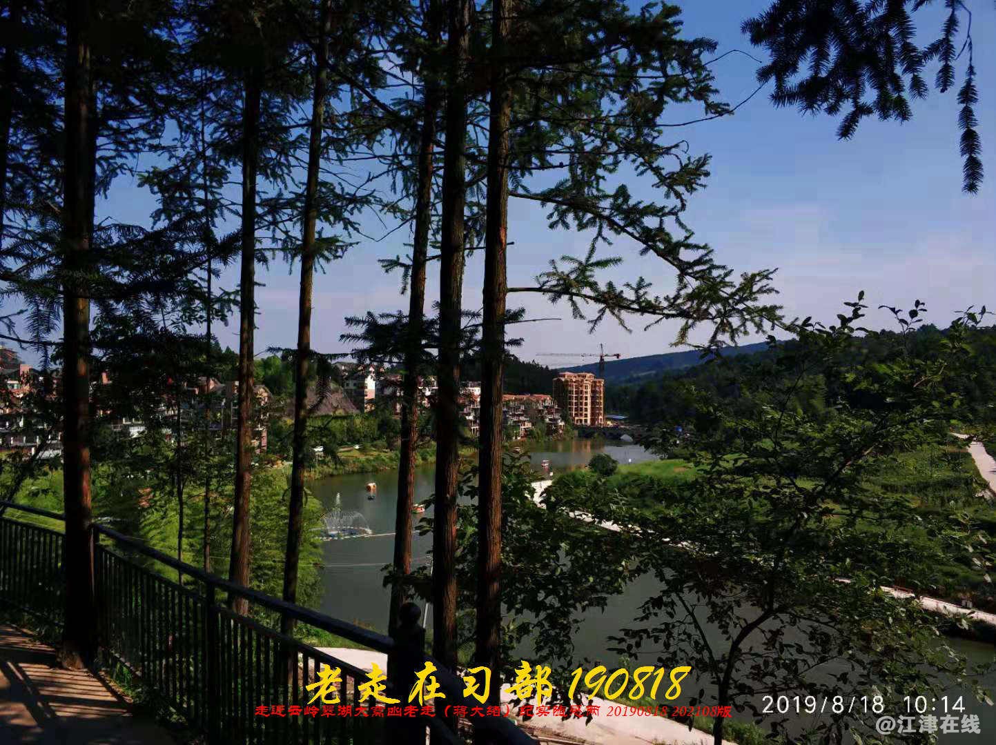 JYZ 20190818 WB(174).jpg