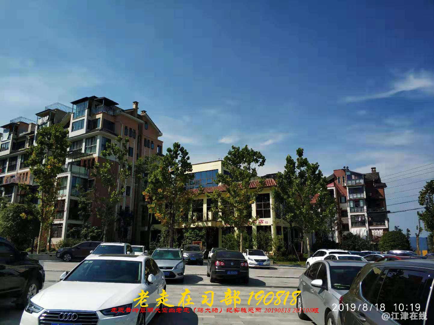 JYZ 20190818 WB(188).jpg
