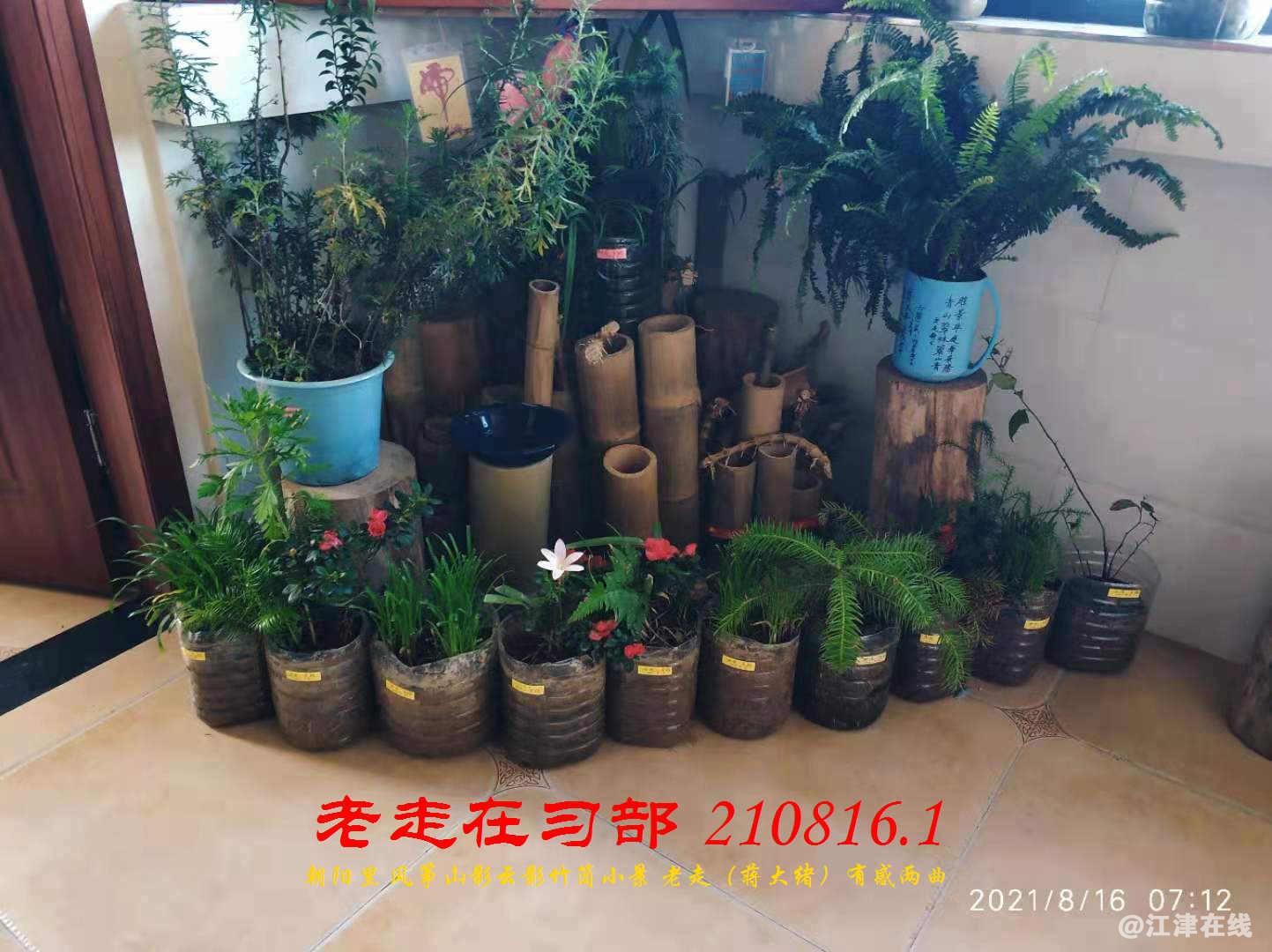 JYZ 210816.1 WBQ (23).jpg