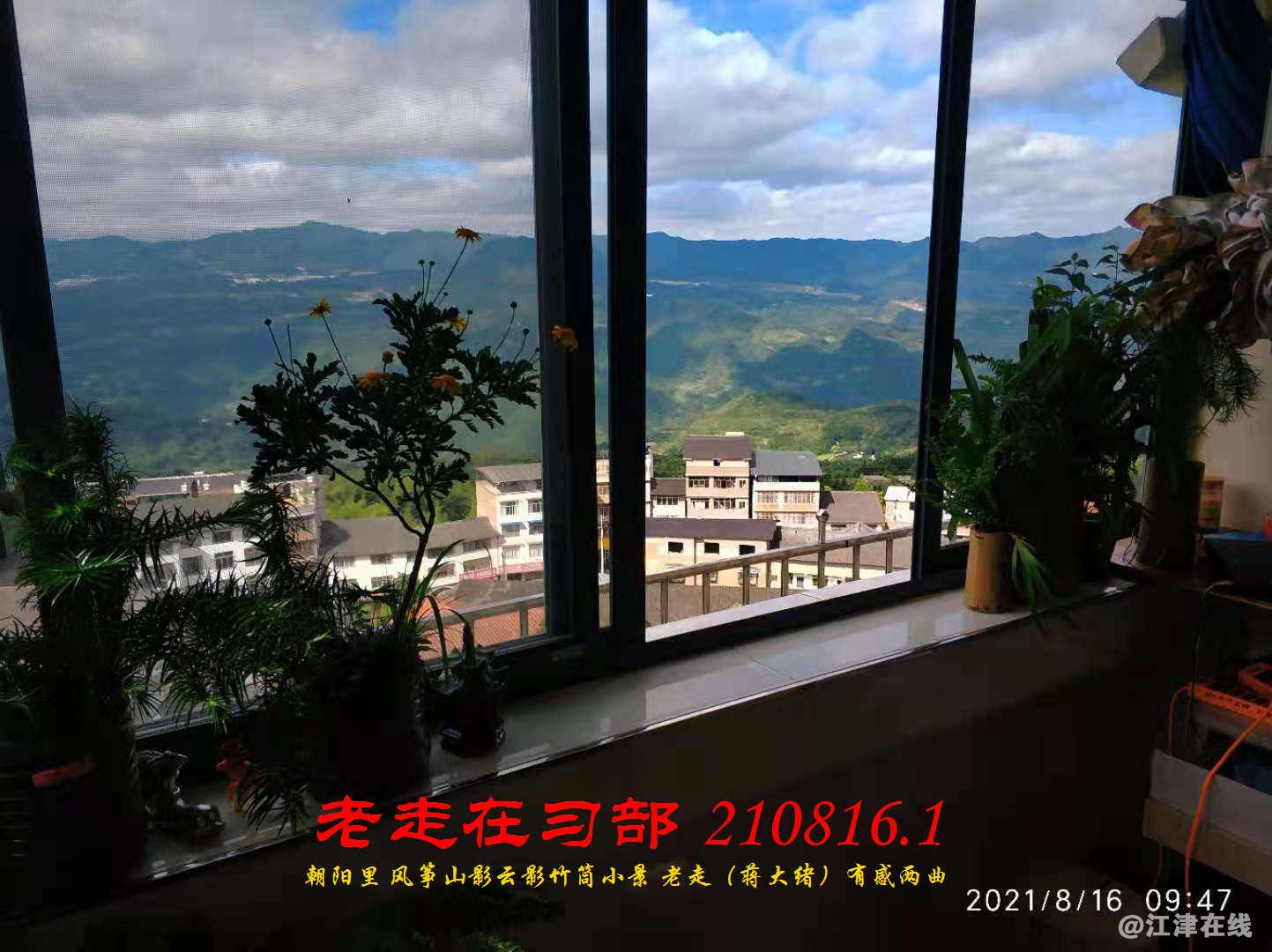 JYZ 210816.1 WBQ (49).jpg