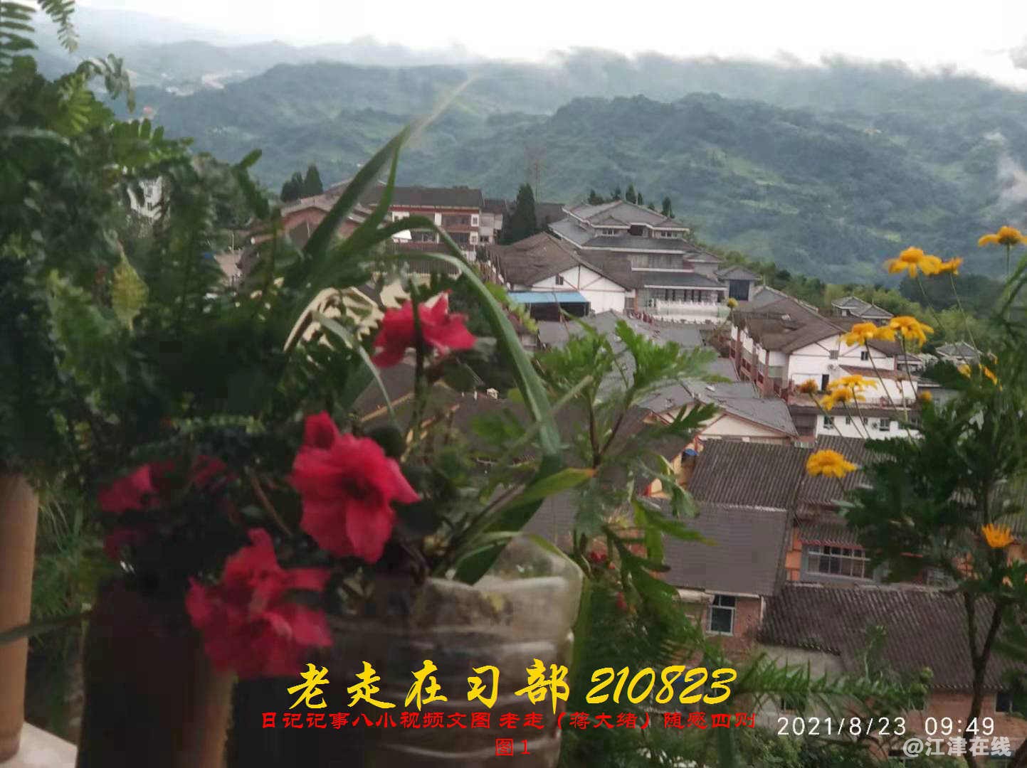JYZ 20210823 BQ图1 (43).jpg