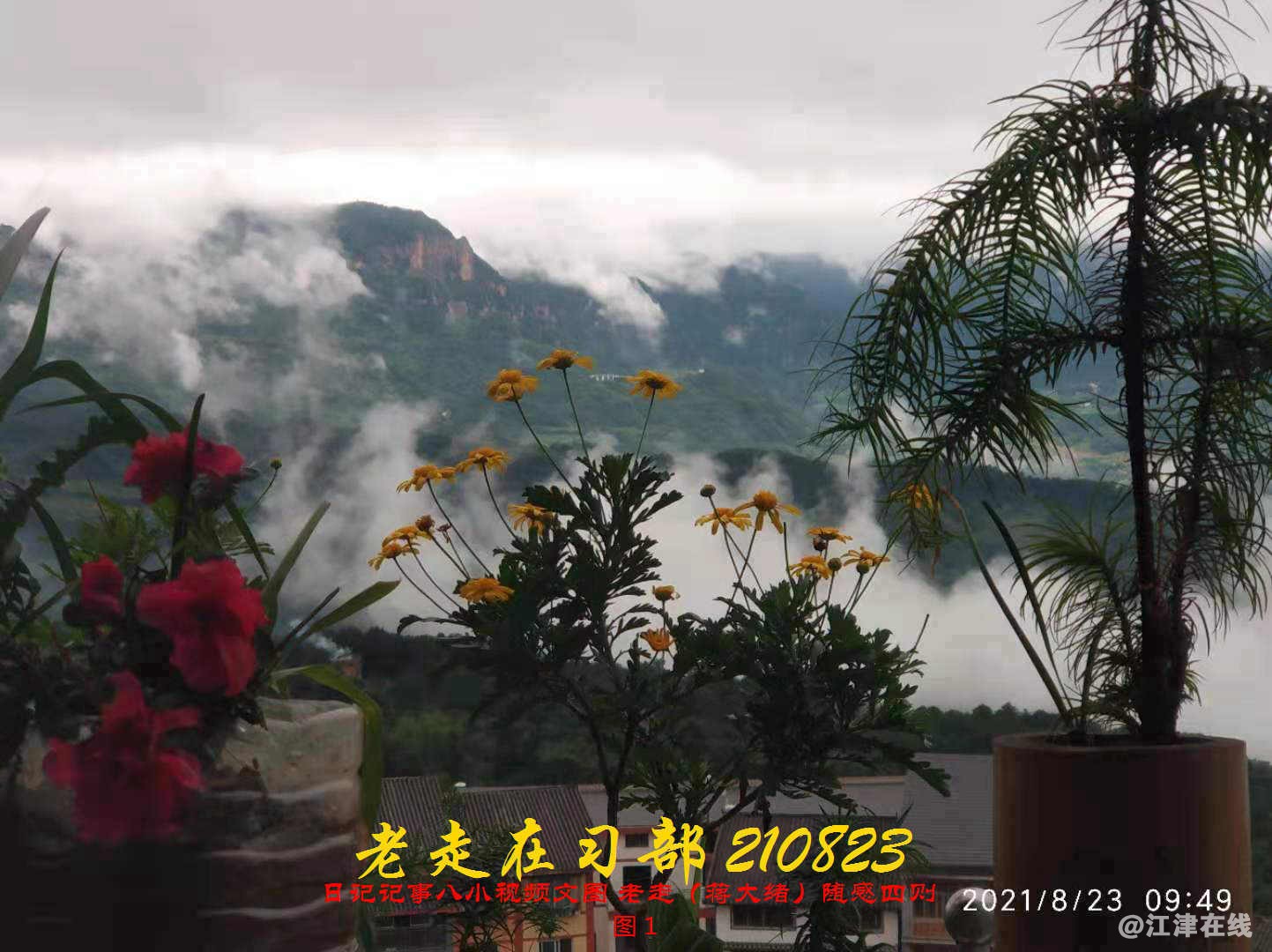 JYZ 20210823 BQ图1 (42).jpg