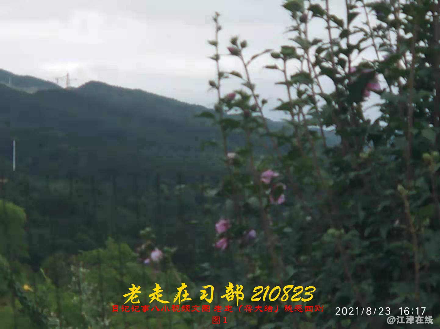 JYZ 20210823 BQ图1 (78).jpg