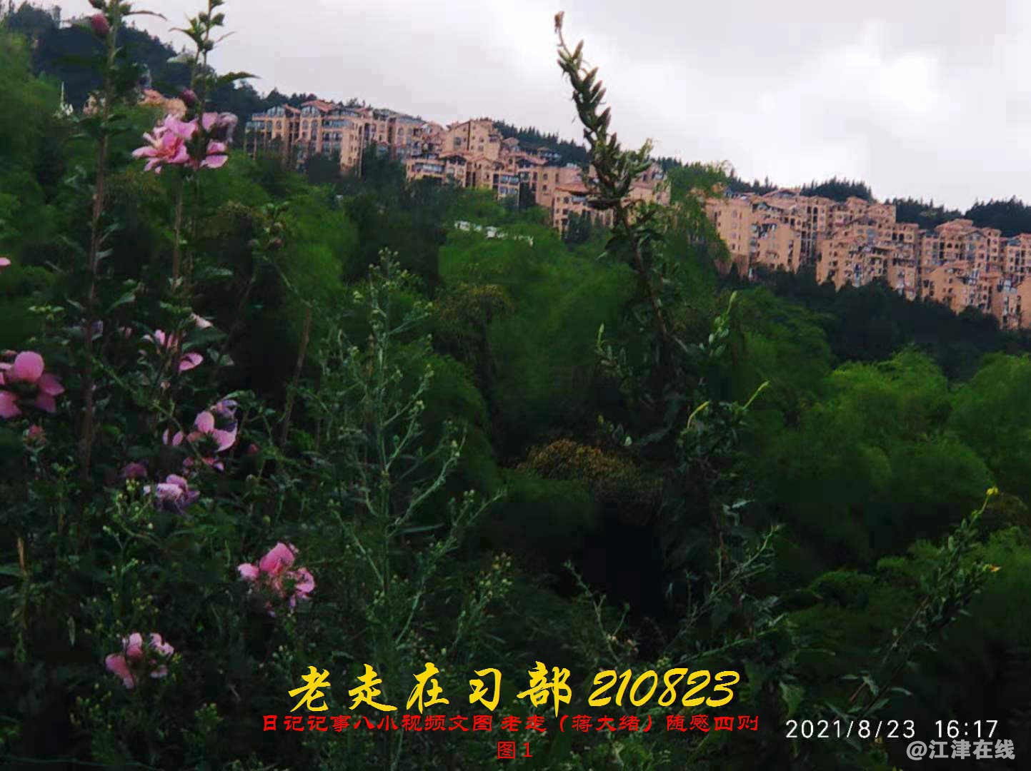 JYZ 20210823 BQ图1 (79).jpg