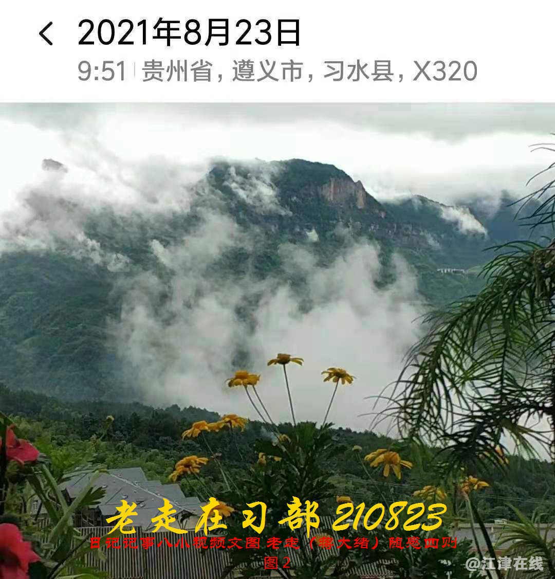 JYZ 20210823 BQ图2 (11).jpg