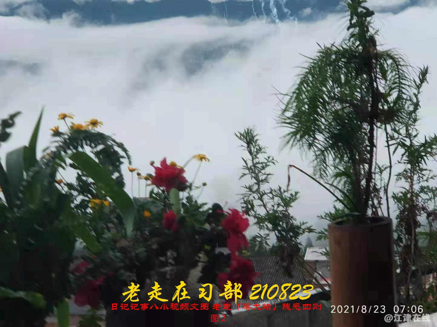 JYZ 20210823 BQ图2 (40).jpg