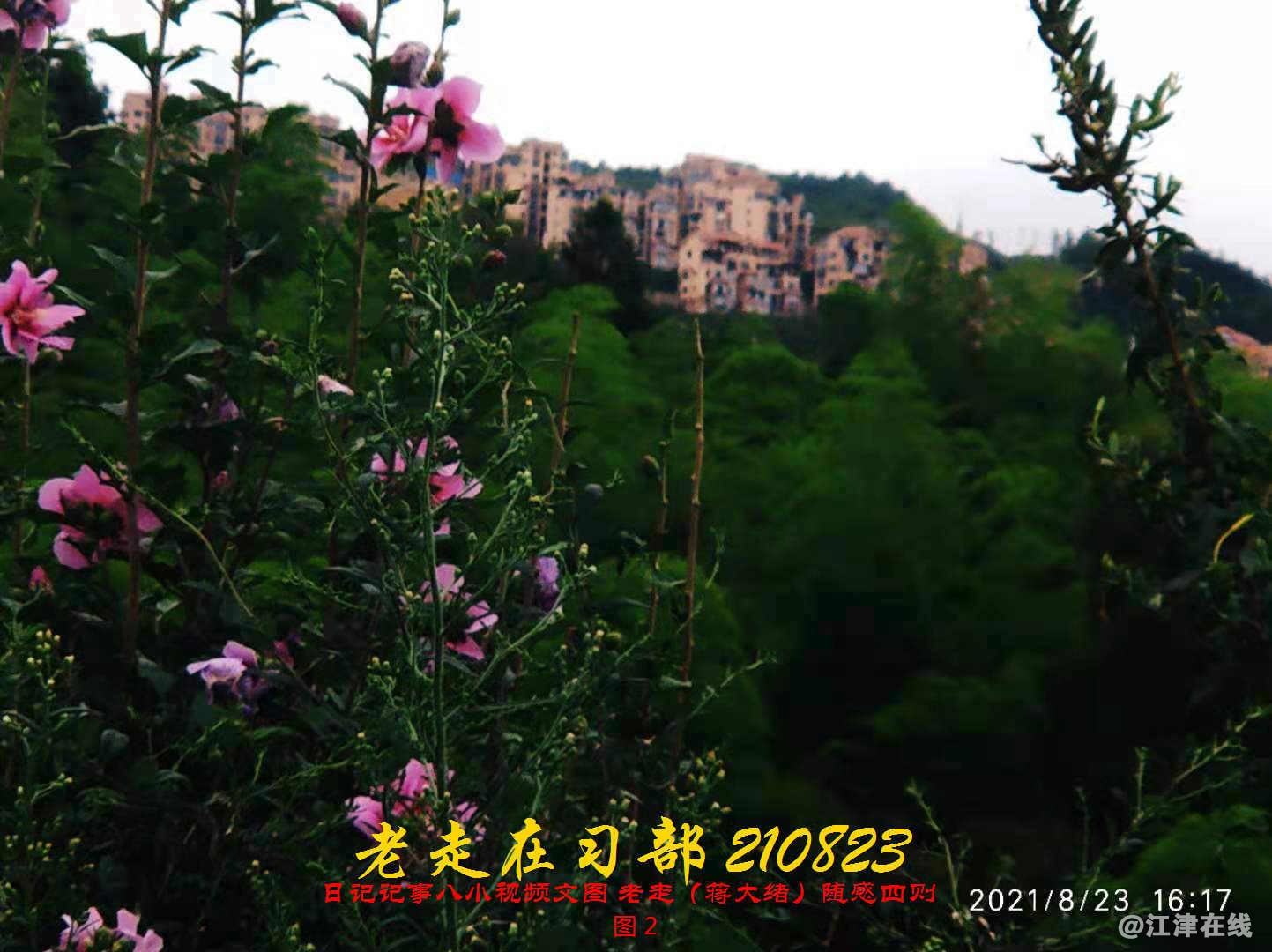 JYZ 20210823 BQ图2 (83).jpg