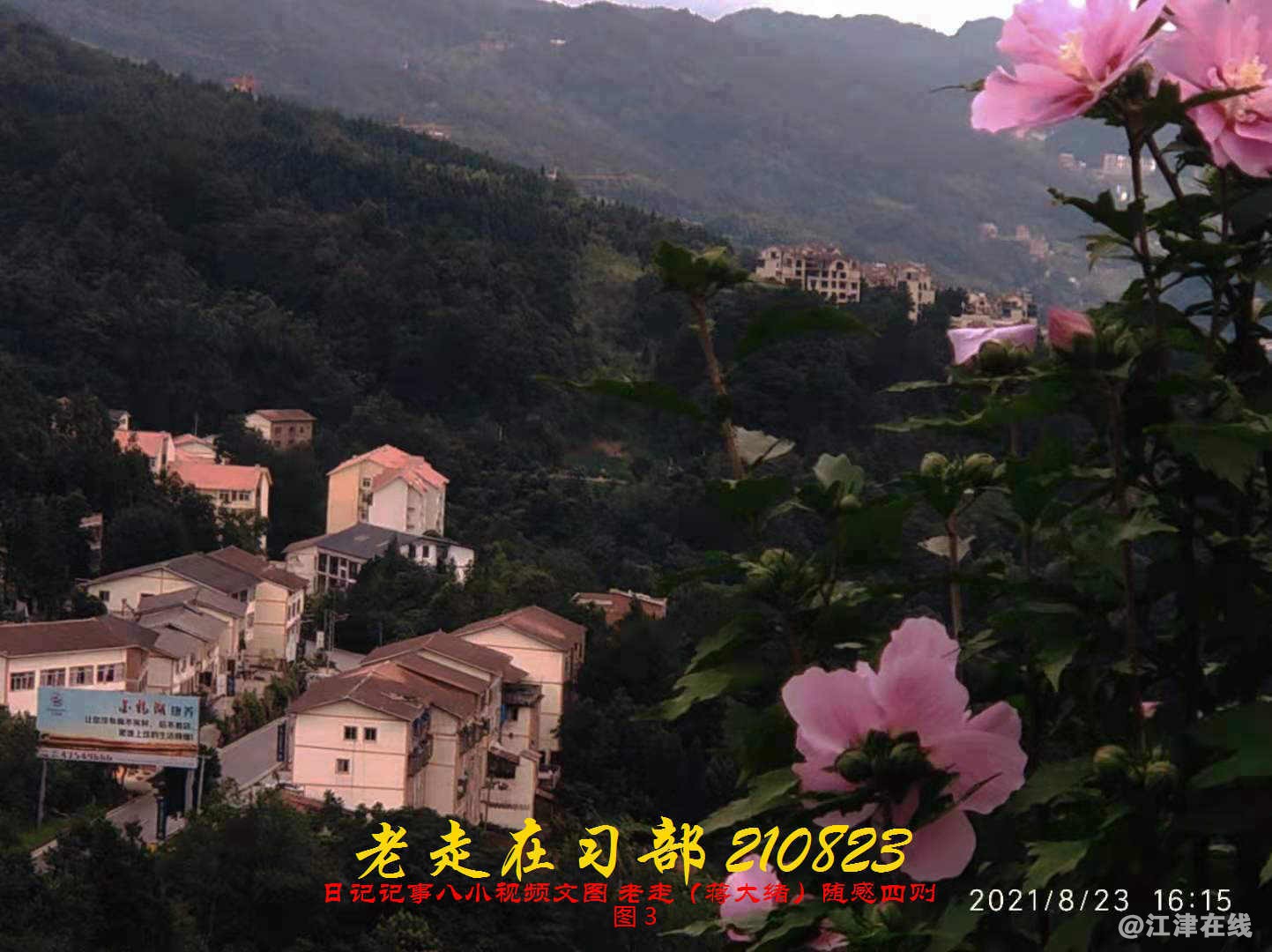 JYZ 20210823 BQ图3 (82).jpg